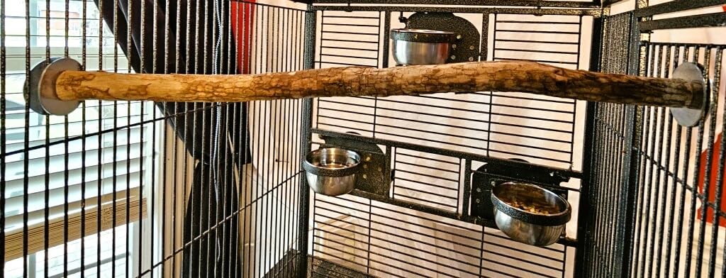 Polly's 28-inch perch mounted inside cage with secure side plates