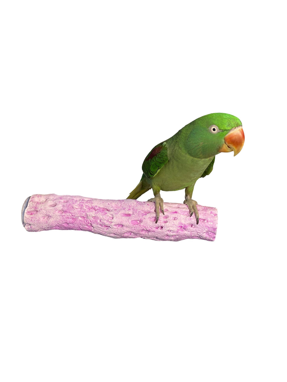 Polly's Tooty Fruity Bee Pollen Large Grape perch-installed image shows easy cage enrichment.