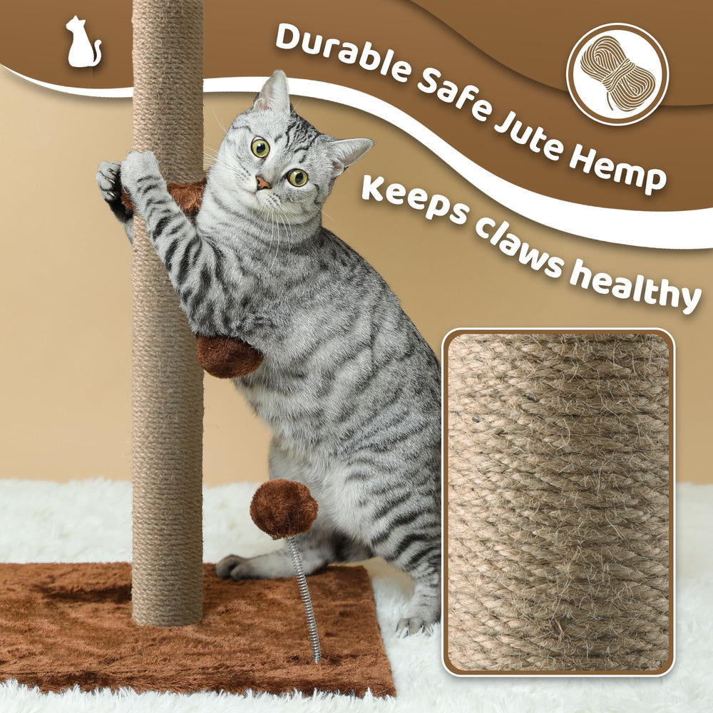 Pomesea cat scratching post with reinforced stable base for steady use.
