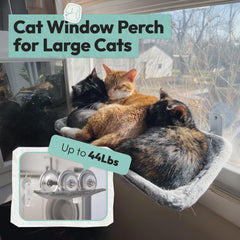 POMESEA four-suction cups ensure sturdy attachment for confident perching.