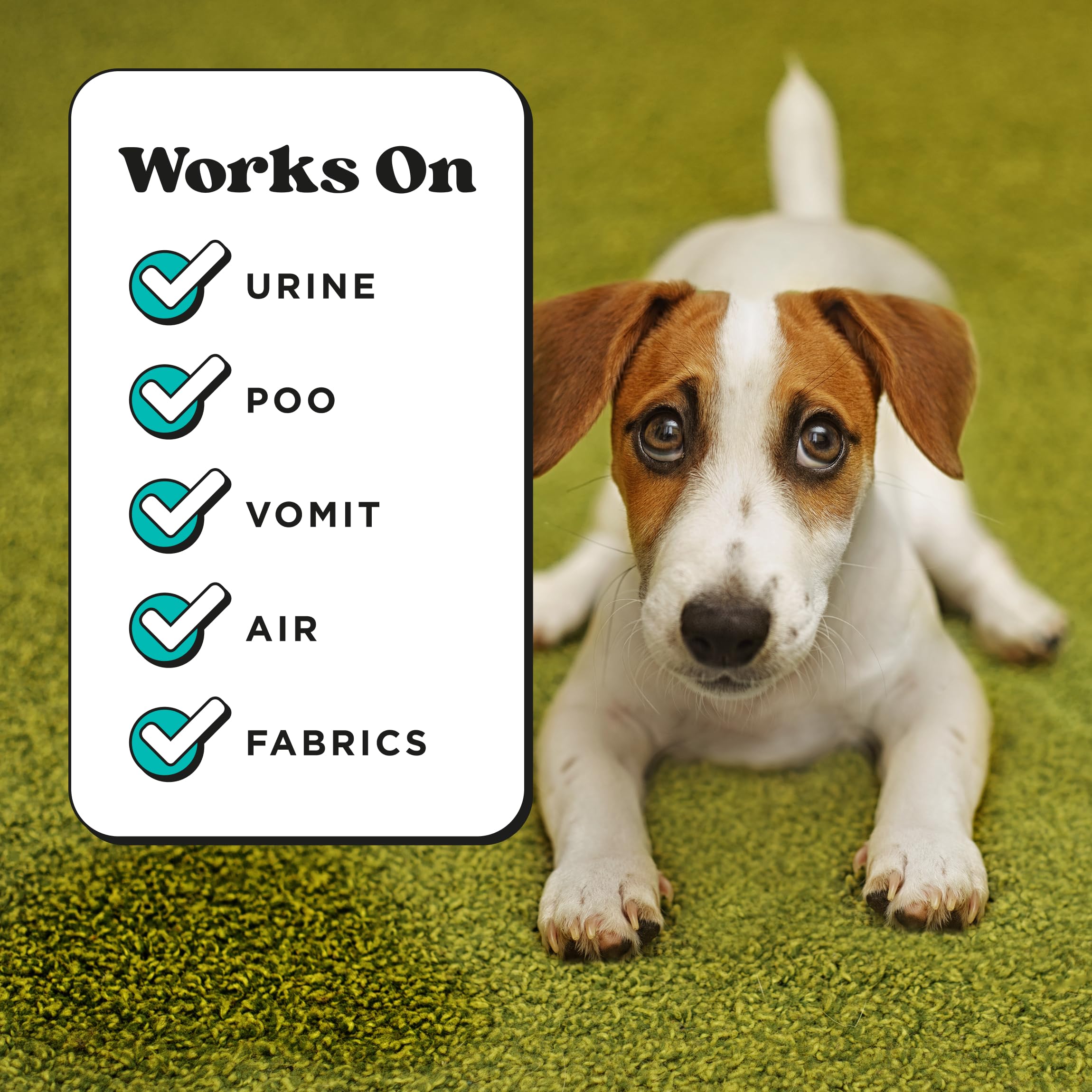 Poo-Pourri Pawsitively Fresh fabric close-up highlighting plant-based formula.
