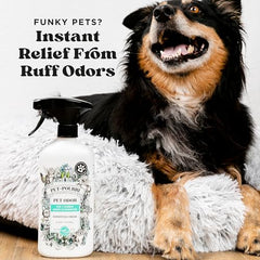 Poo-Pourri Pawsitively Fresh spray-action on fabric to neutralize pet odors.