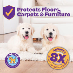 PoochPad Original medium 2-pack in-use training session demonstrates quick cleanup.