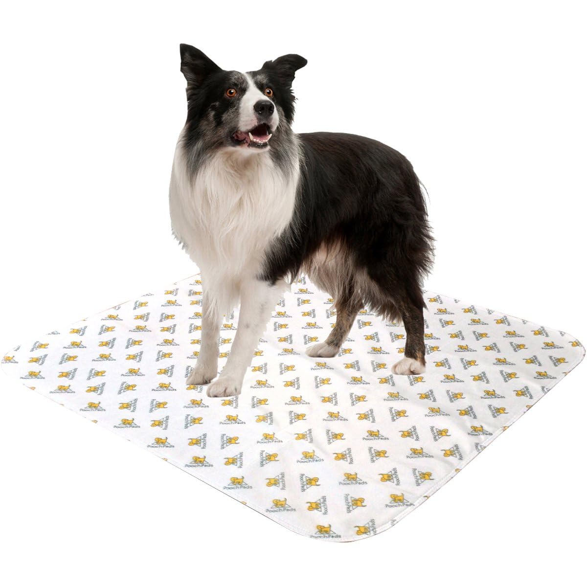 PoochPad Original washable potty pad large 2-pack overview highlights reusable convenience and size.