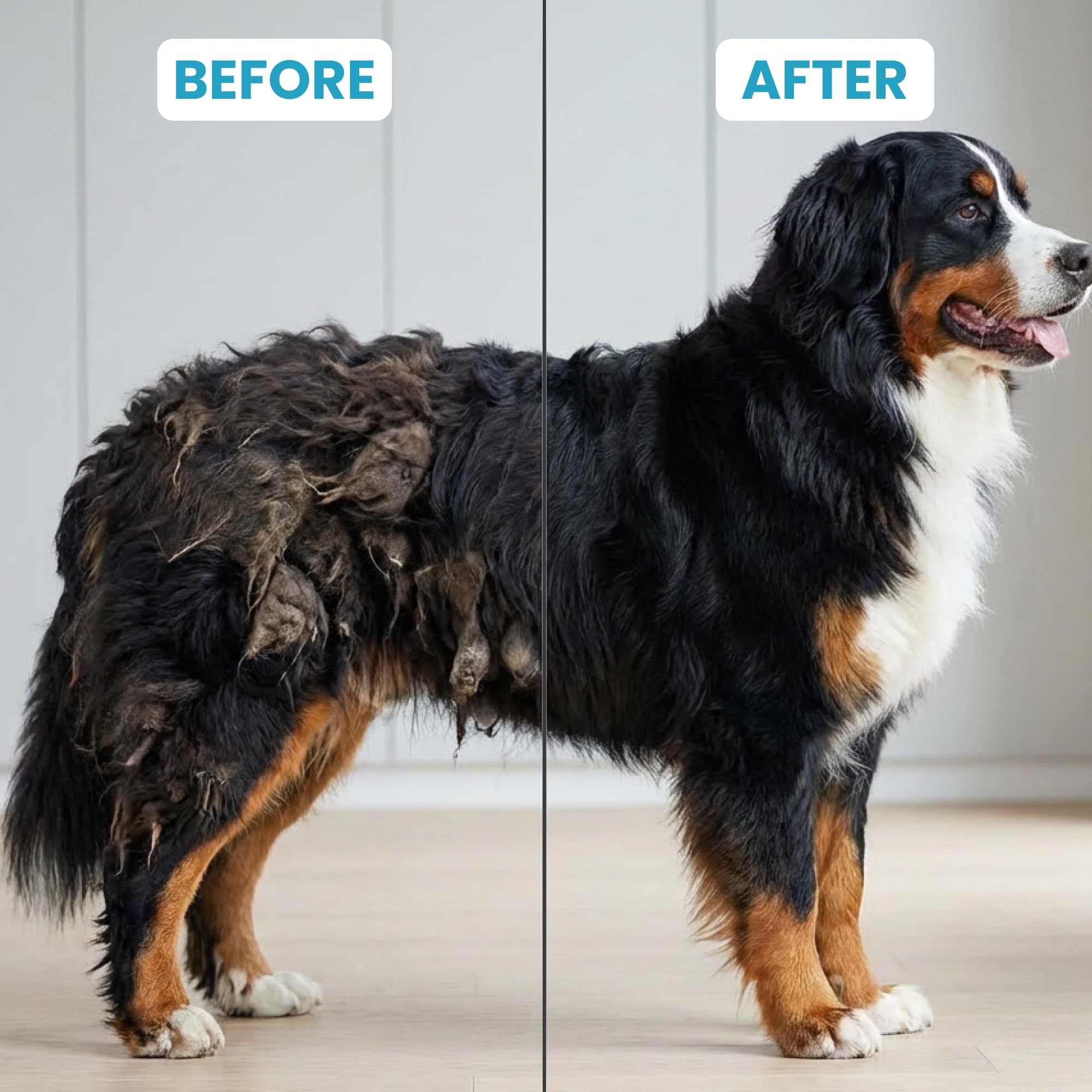 POODLIE Durable rust-proof steel for pets with long coats.