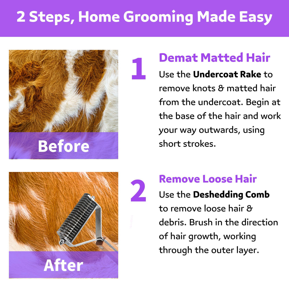 Poodoodle 2in1 Undercoat Rake cat grooming session for smoother coat.