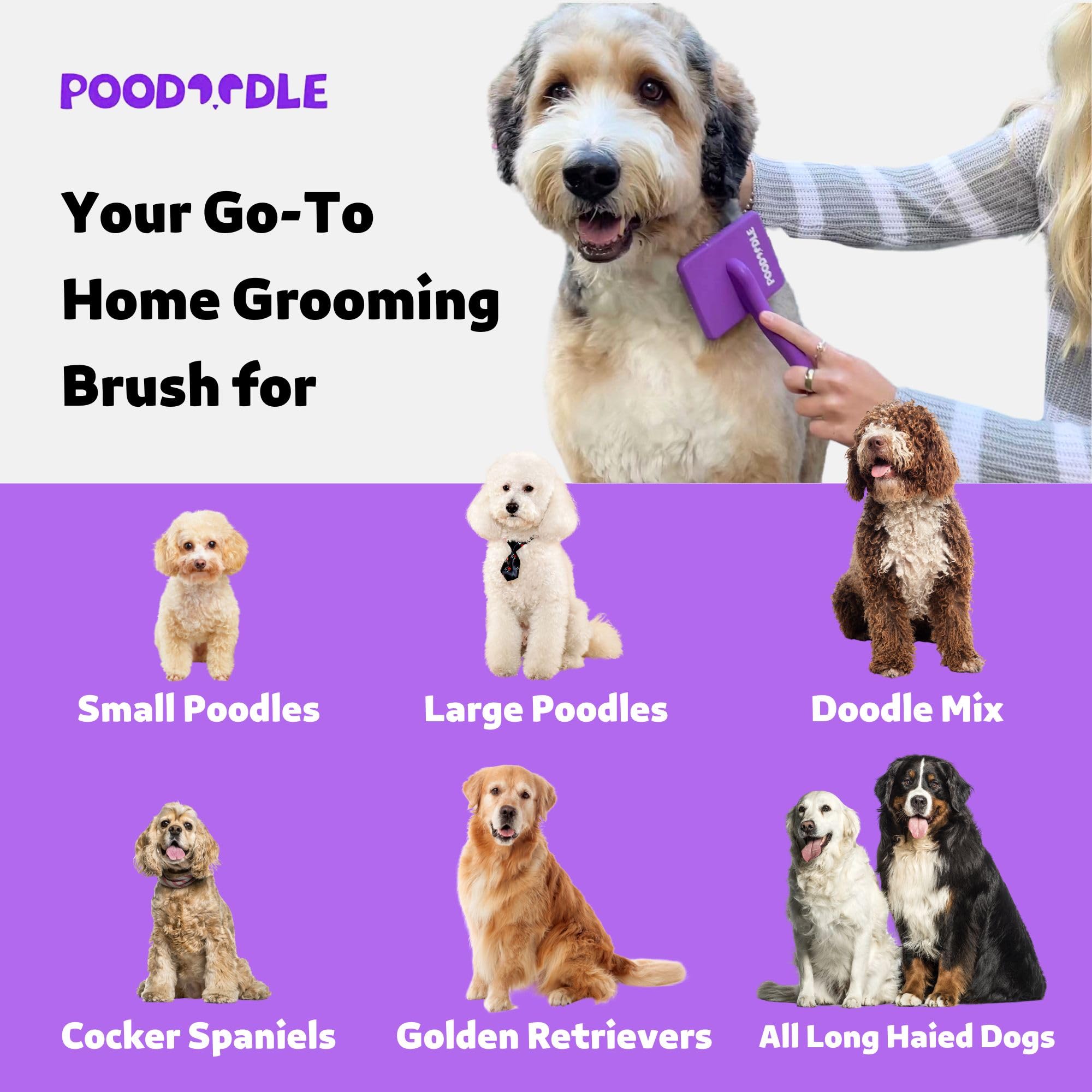 Poodoodle at-home grooming with purple slicker boosts speed and comfort.