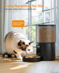 POOEKEN Automatic Cat Feeder digital display close-up for simple scheduling.
