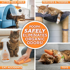POOPH Kitty Odor Eliminator on cat tree shows fragrance-free odor control