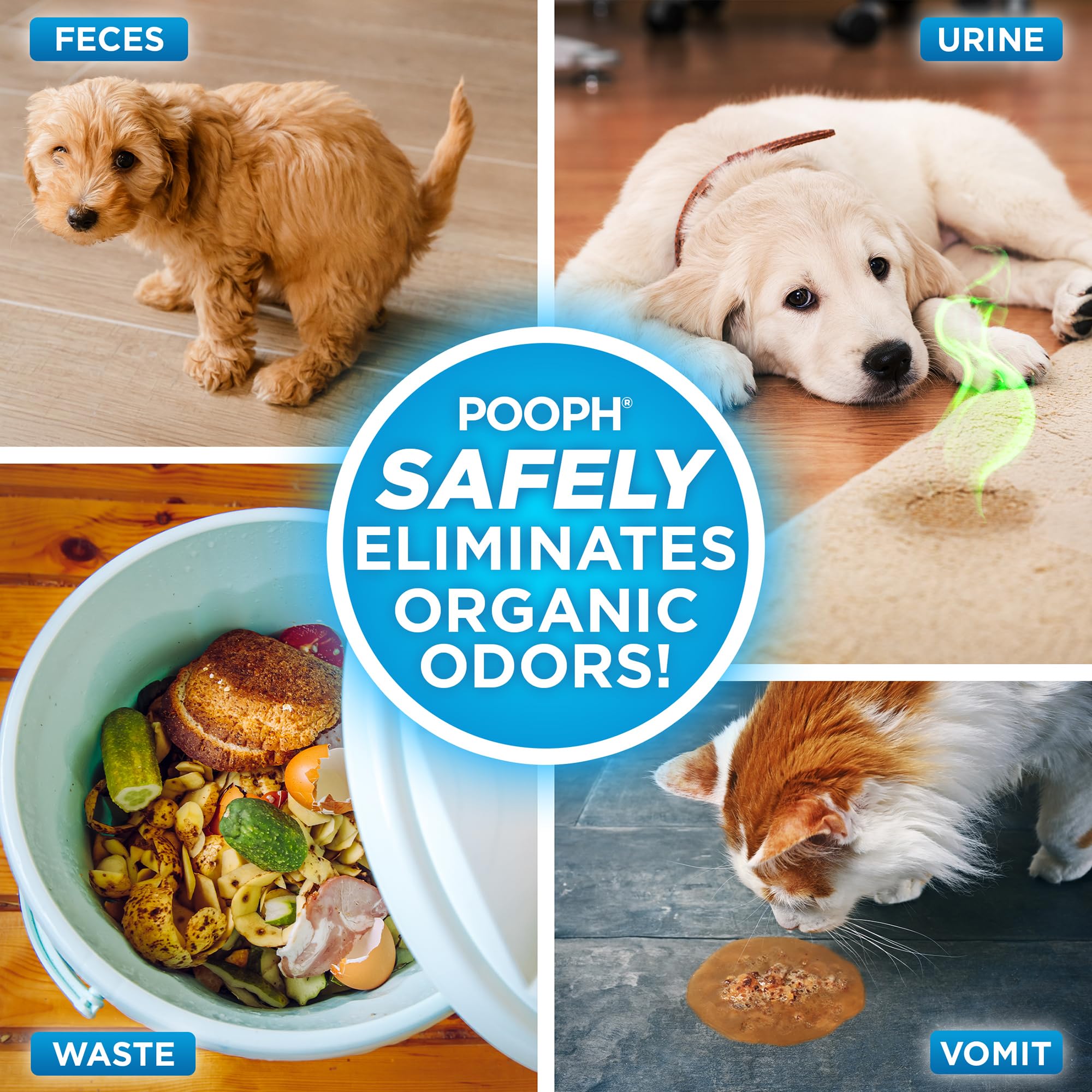 POOPH pet urine odor diffusion across carpet or litter area
