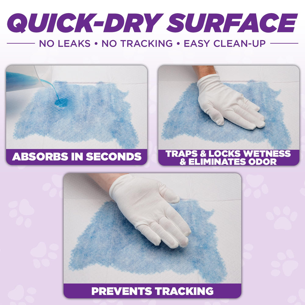 POOPH Potty Pads no-splash feature promotes spill-free rooms
