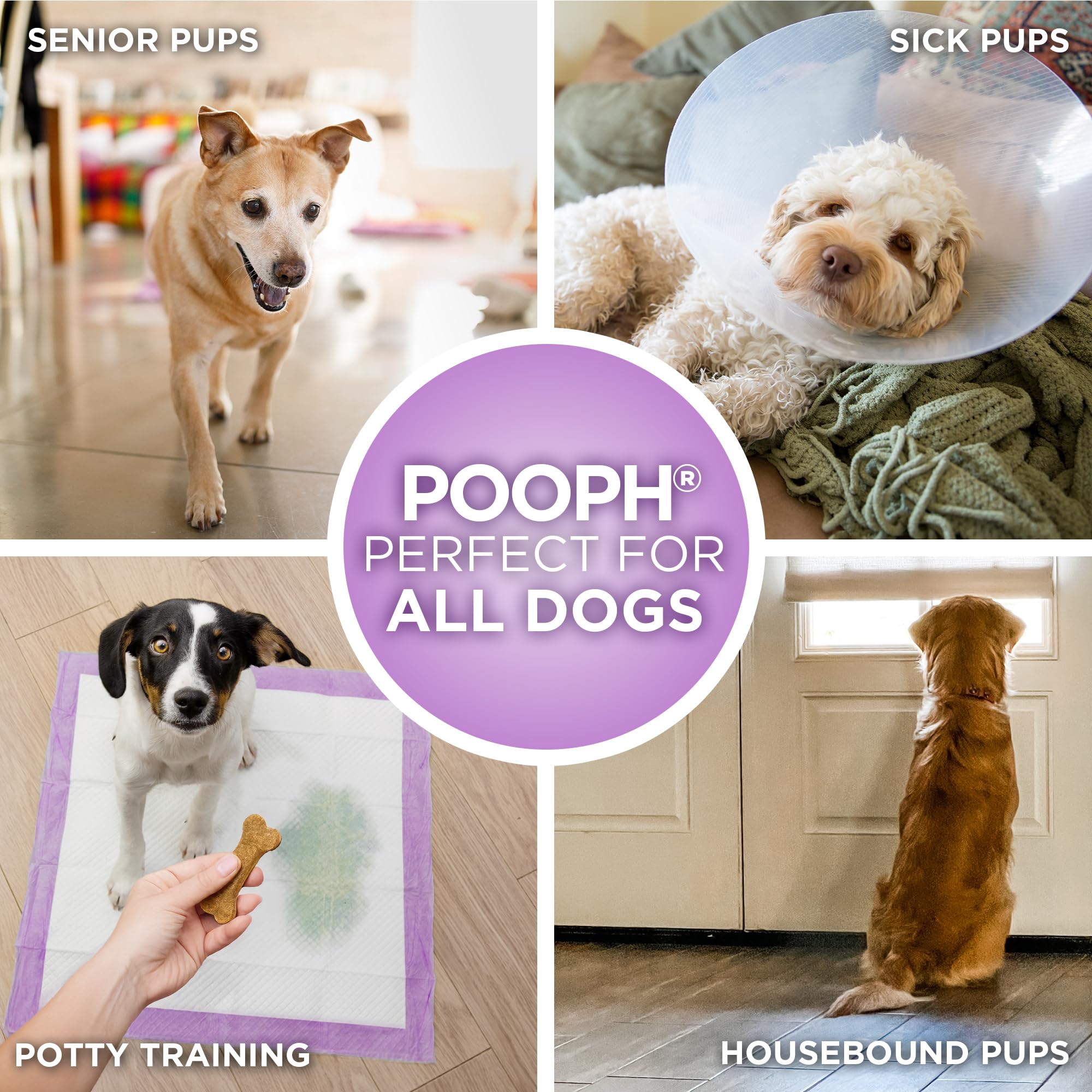 POOPH Potty Pads senior-pets use-case supports hygienic routines for aging pets