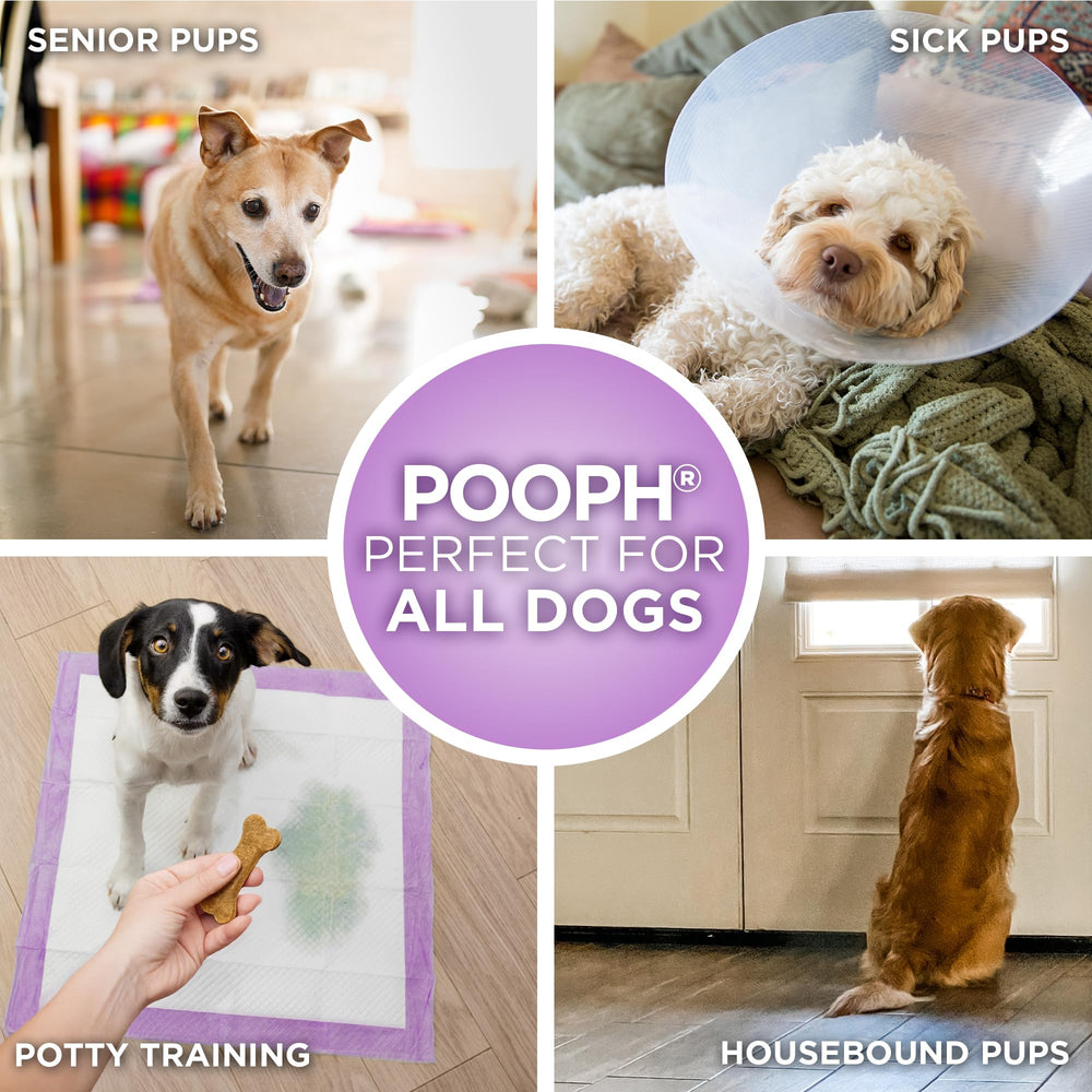 POOPH Potty Pads senior-pets use-case supports hygienic routines for aging pets
