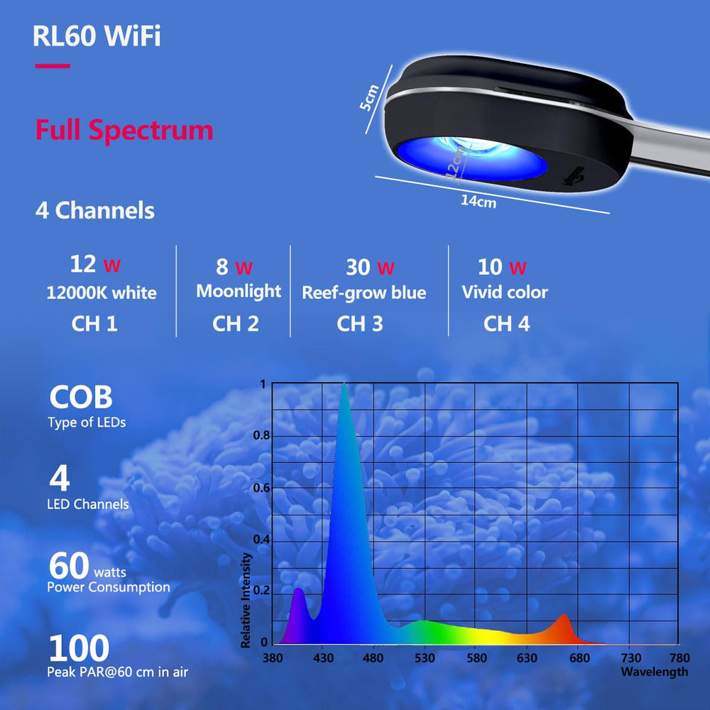 PopBloom RL60 COB reef illumination provides uniform brightness across the tank.