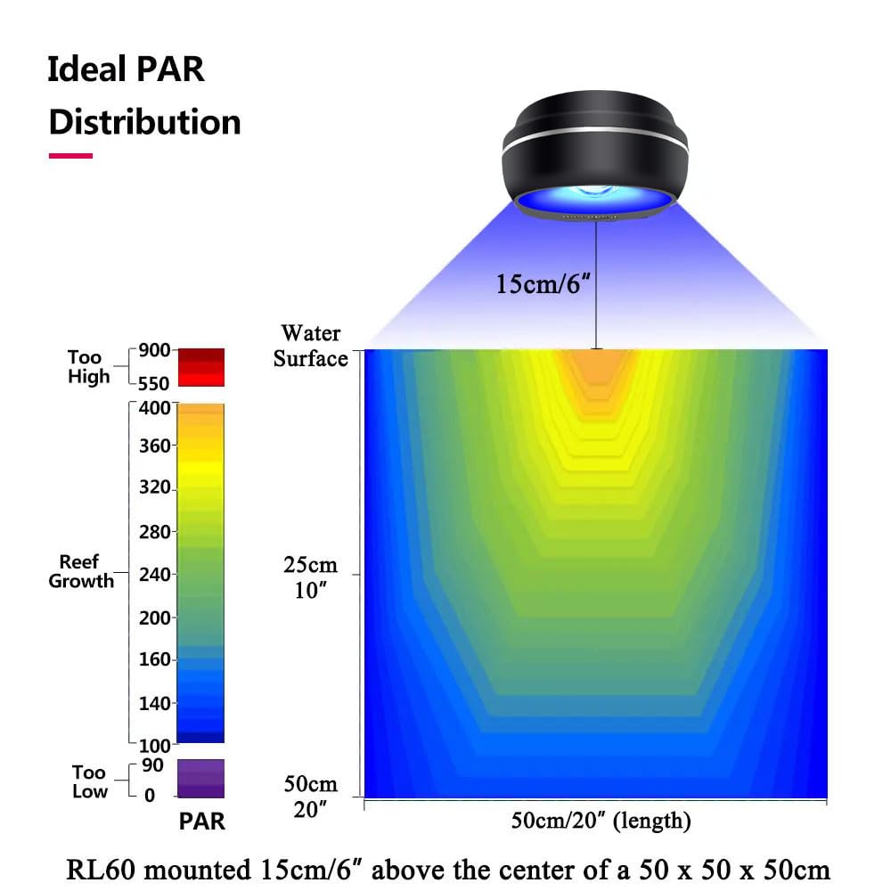 PopBloom RL60 60cm depth penetration ensures even lighting at reef depth.