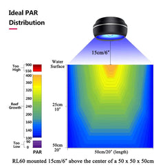 PopBloom RL60 60cm depth penetration ensures even lighting at reef depth.