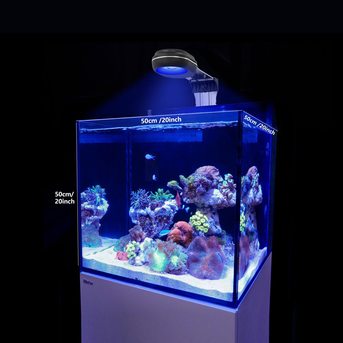 PopBloom RL60 quiet energy-saving operation supports long reef viewing sessions.