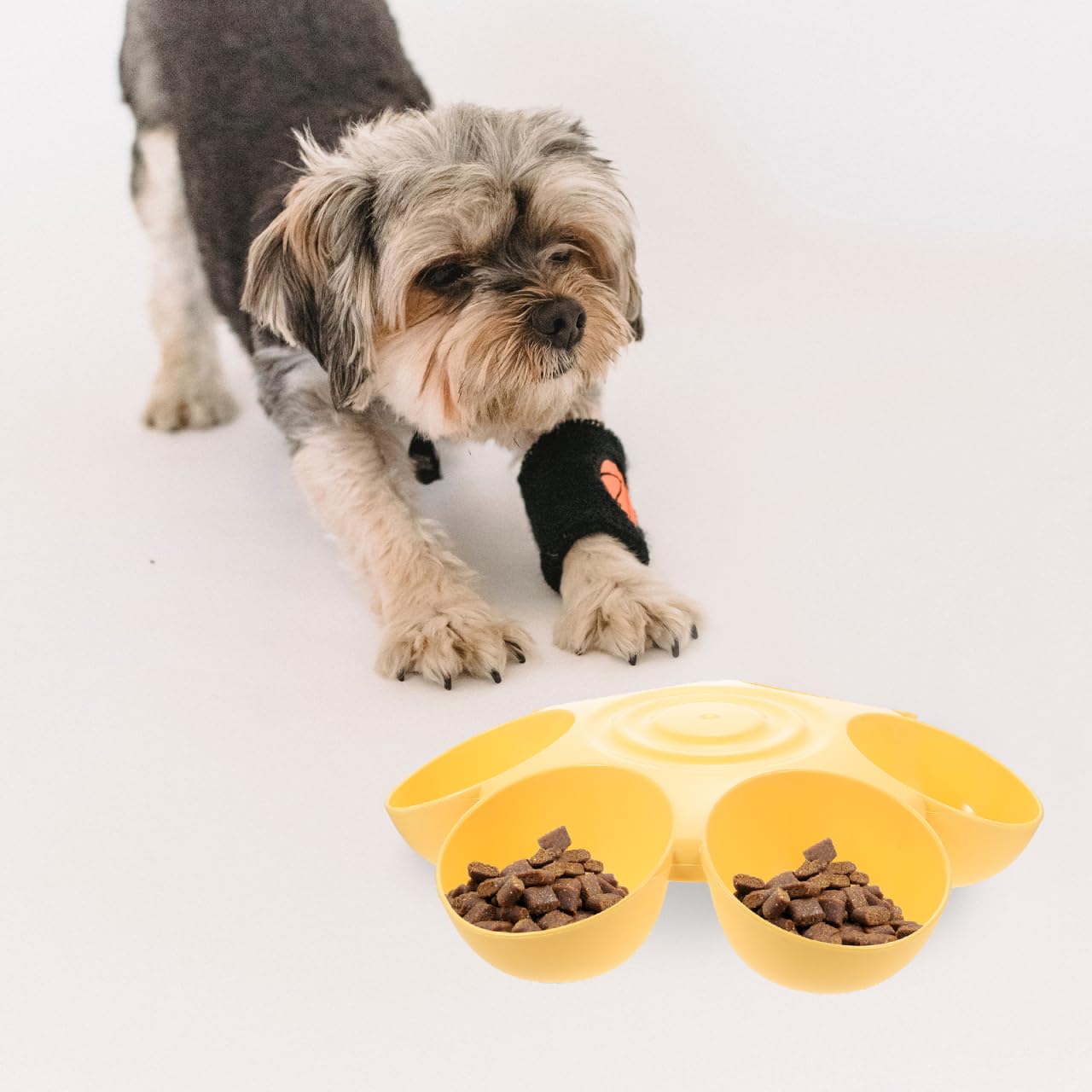 POPETPOP yellow feeder brightens mealtimes and home decor.