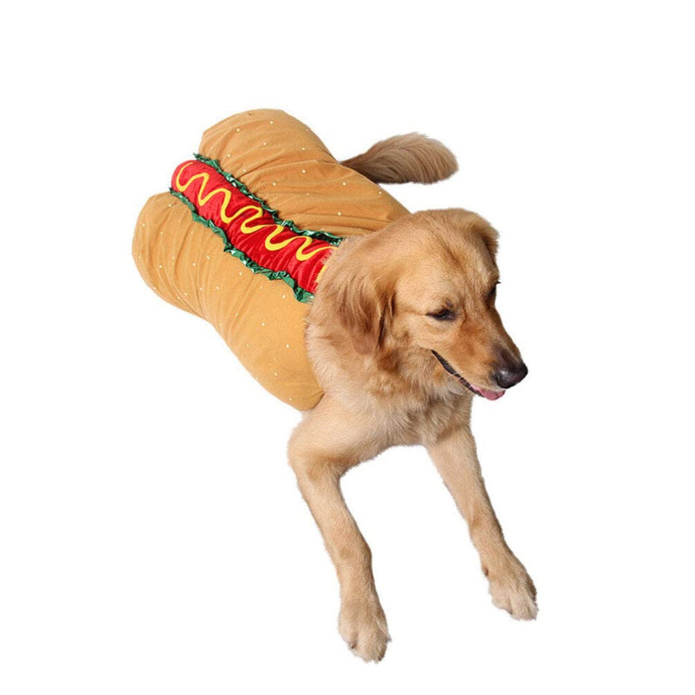 POPETPOP pet costume family-photo setup for playful memories
