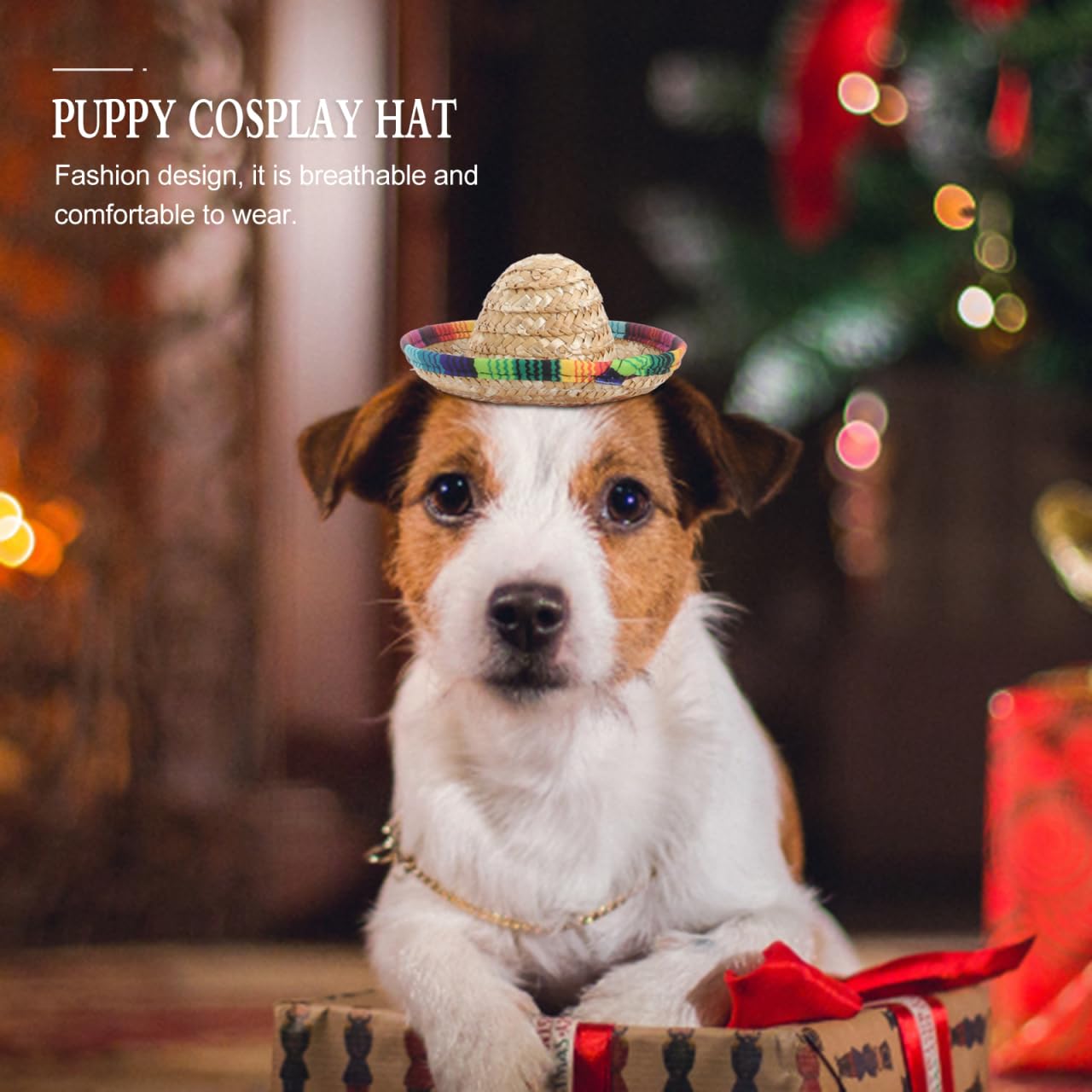 POPETPOP small-pet-sombrero-hat-trick prop for entertaining moments.