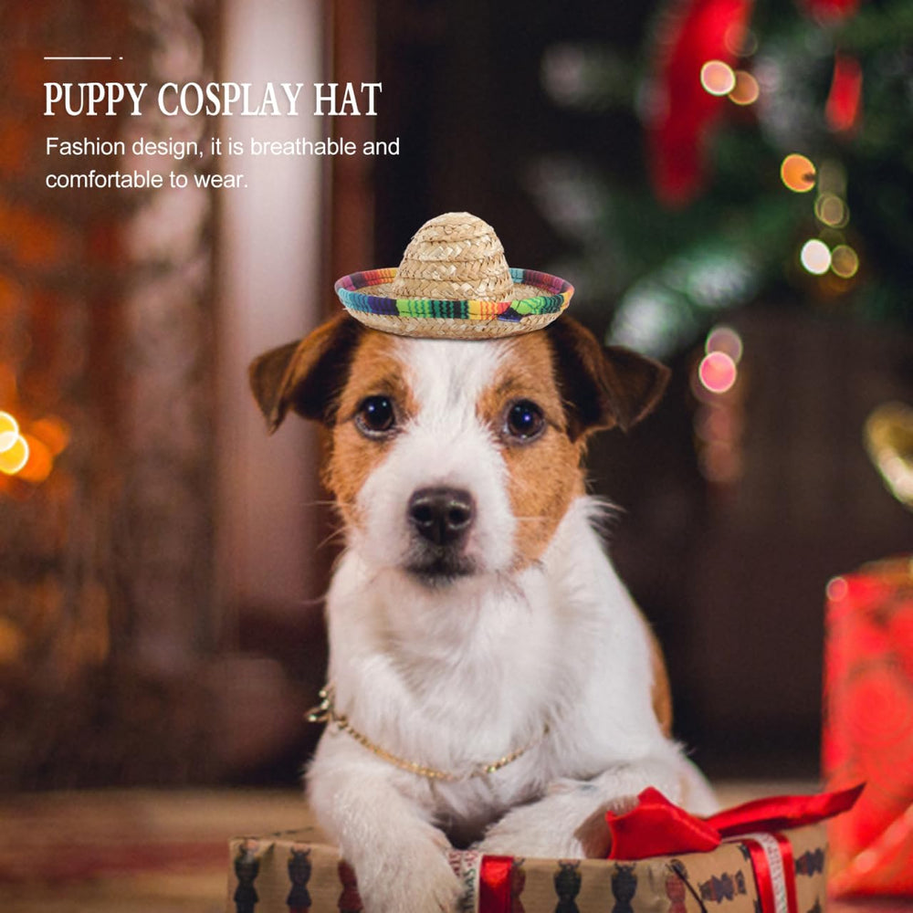 POPETPOP small-pet-sombrero-hat-trick prop for entertaining moments.