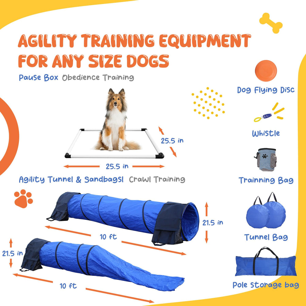 POPMOON flying disc blue for interactive fetch and agility play