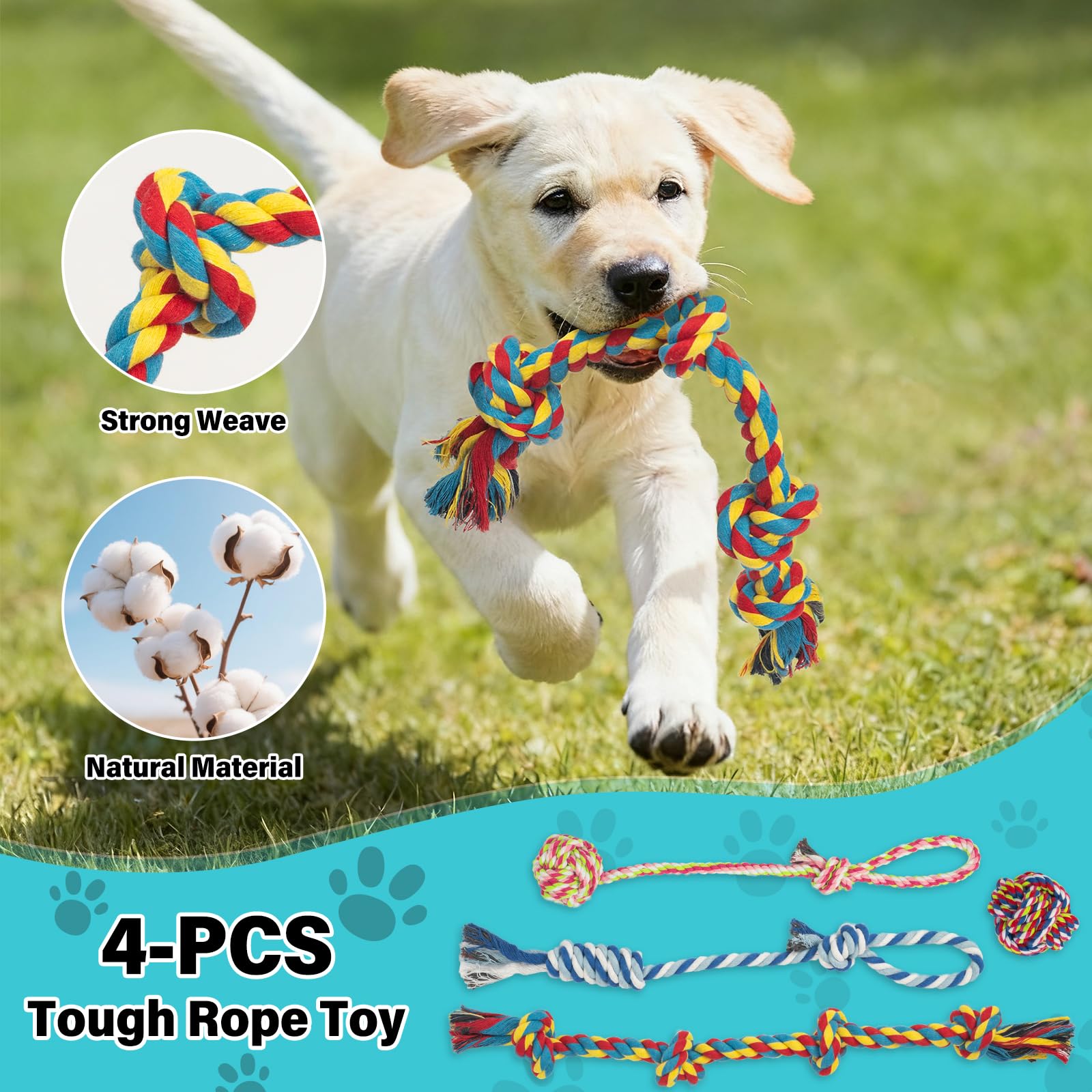 Popoko dog flirt pole with four rope toys highlights versatile attachment options.