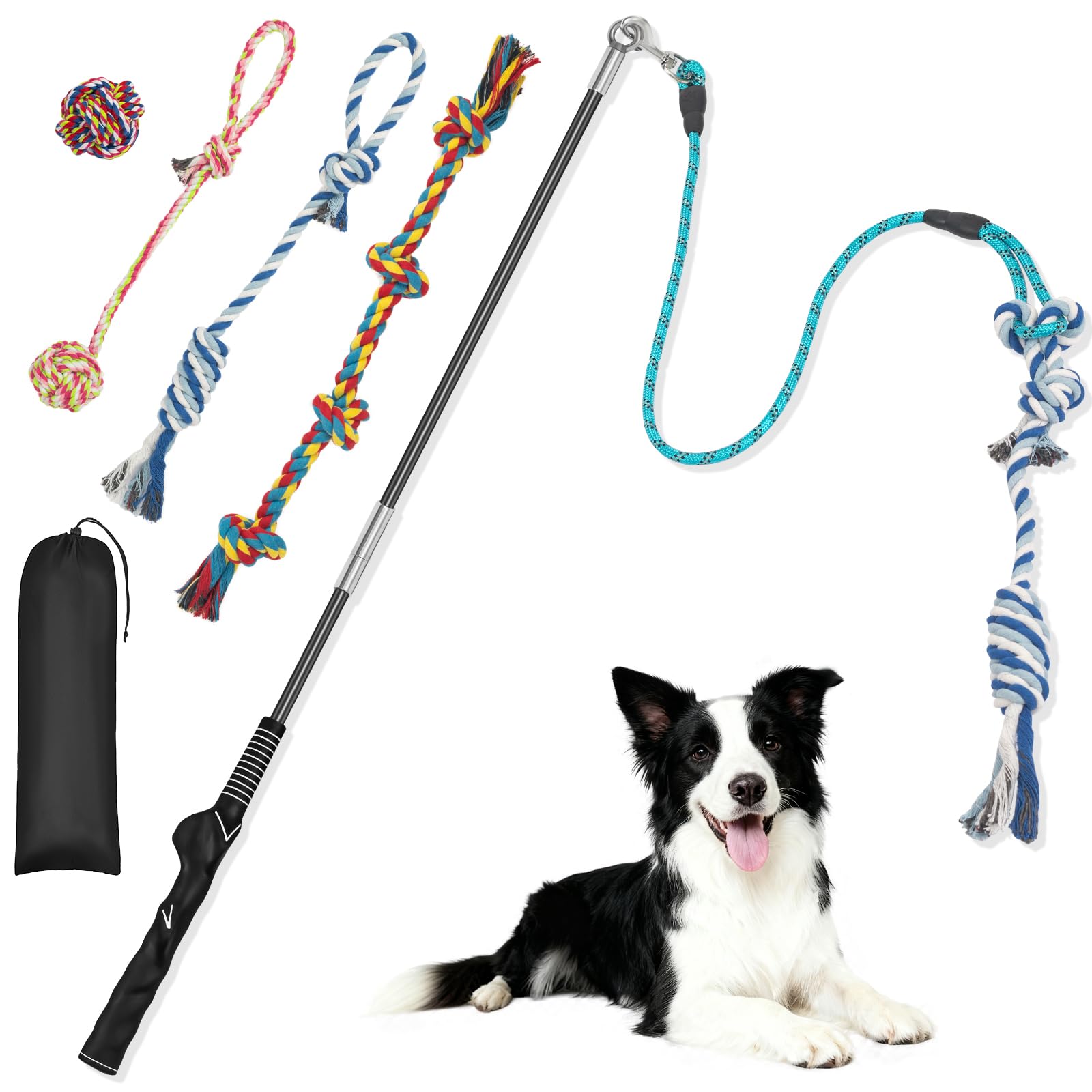 Popoko flirt pole dog teaser wand assembly demonstrates quick setup for outdoor training.