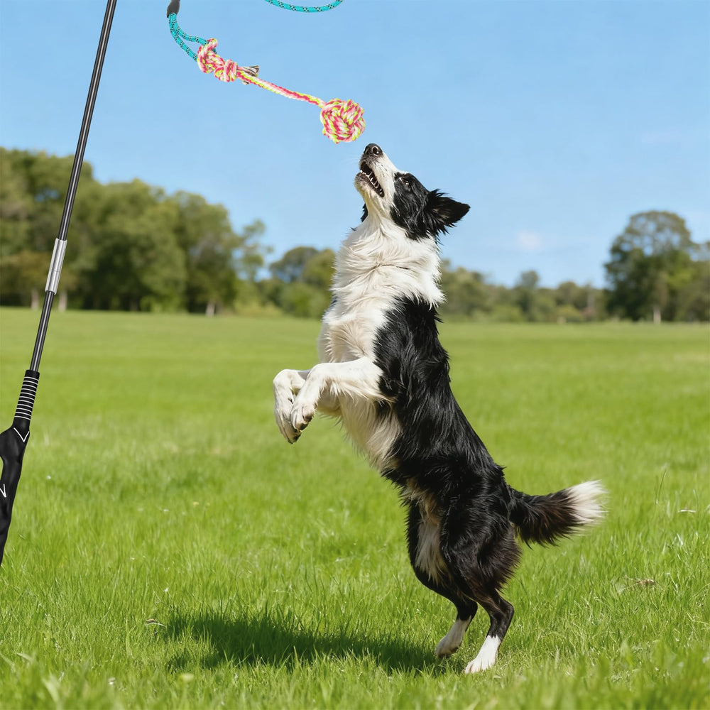 Popoko sturdy metal pole resists bending during energetic tugging.