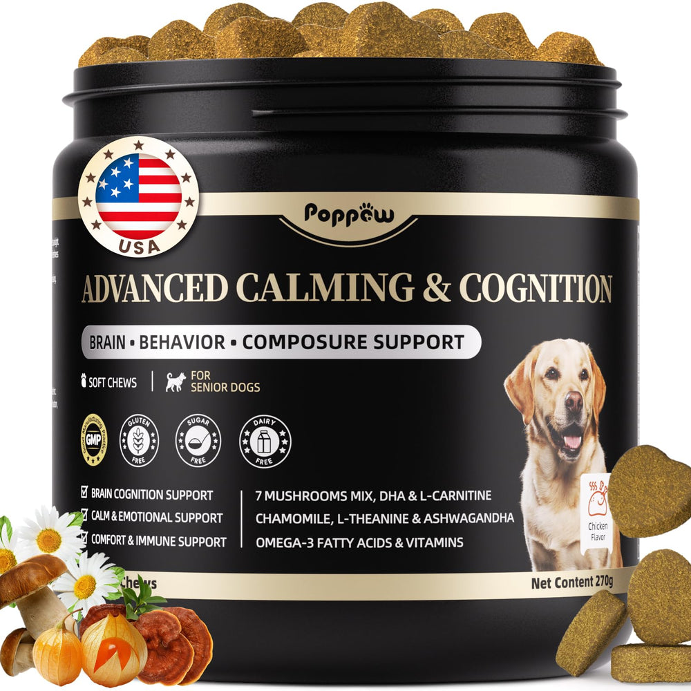 Poppaw advanced calming chews dog tub for easy daily calming routine