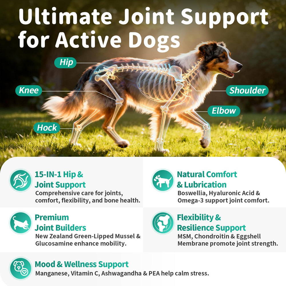POPPAW chicken-chew for easy daily mobility support in dogs