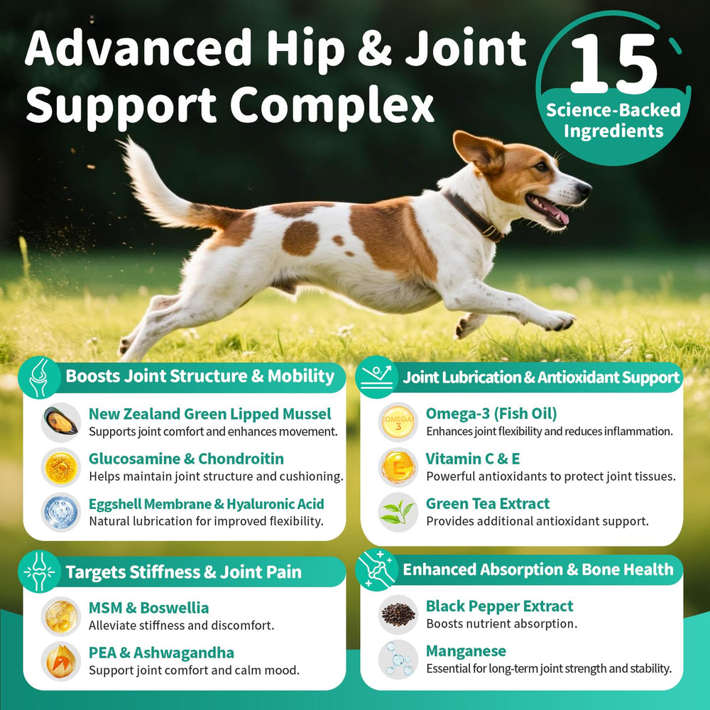 POPPAW joint chews texture close-up emphasizes soft, easy-to-dose consistency