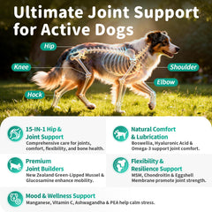 POPPAW beef-flavored chews promoting daily joint comfort and active play
