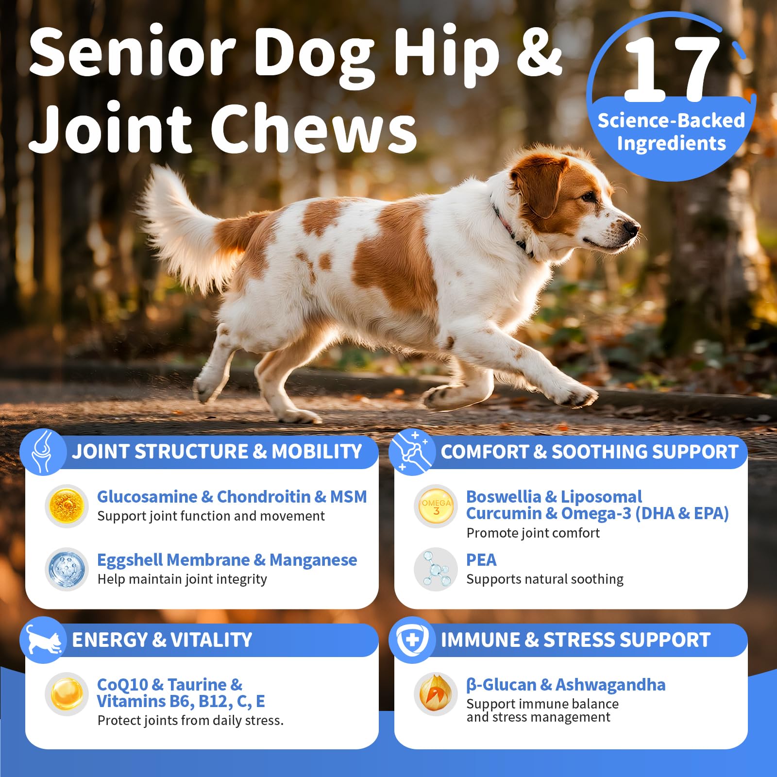 POPPAW beef flavor chews for variety and joint mobility support.