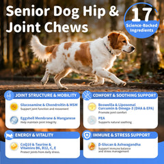 POPPAW beef flavor chews for variety and joint mobility support.
