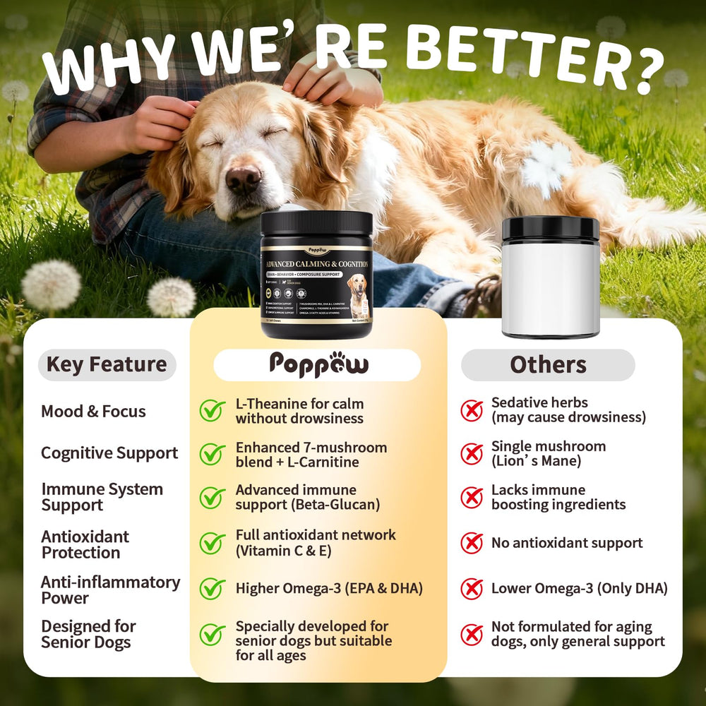 Poppaw brain-cognition support supports focus and mental clarity