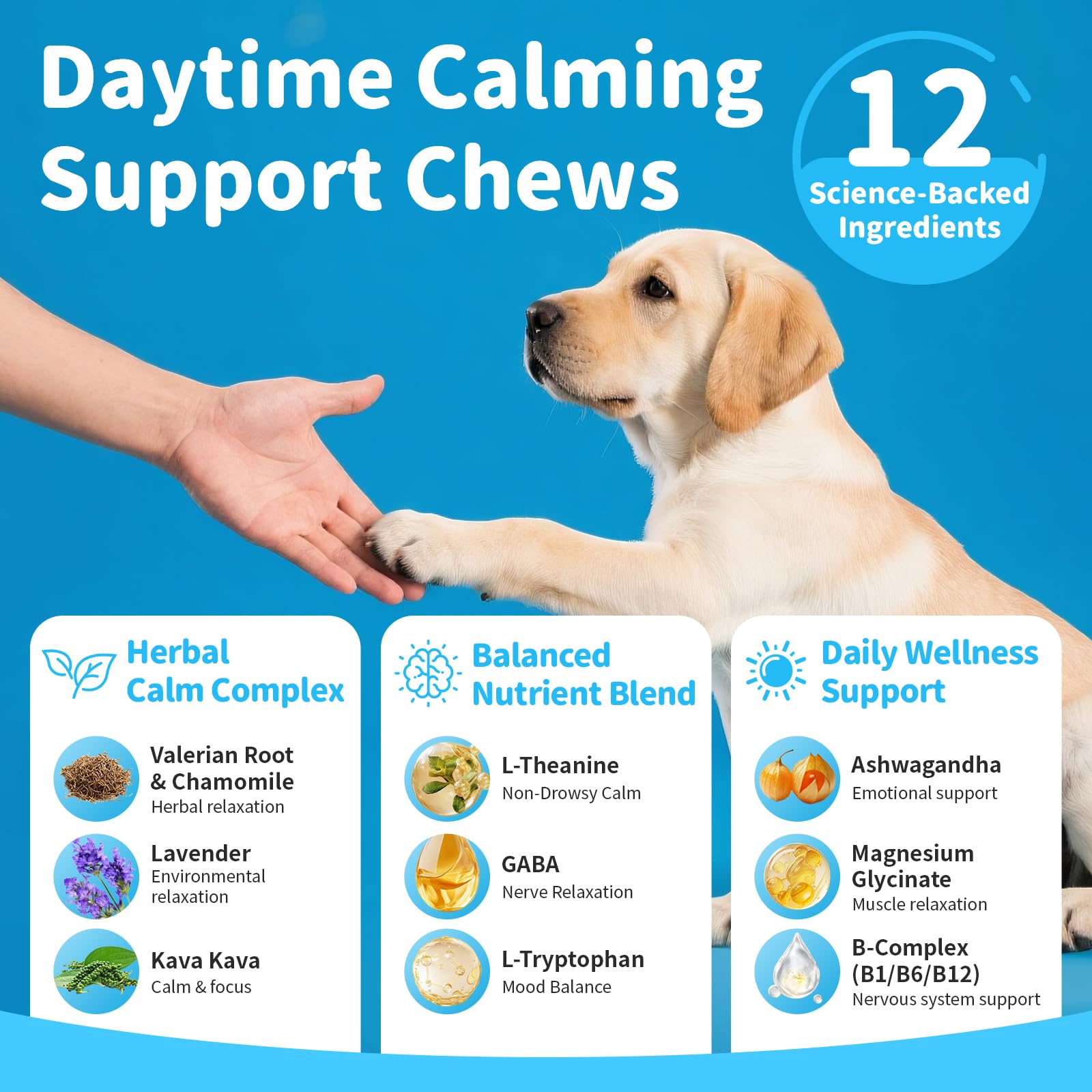 Poppaw Calming Chews bacon-flavor dog enjoying a chew during training