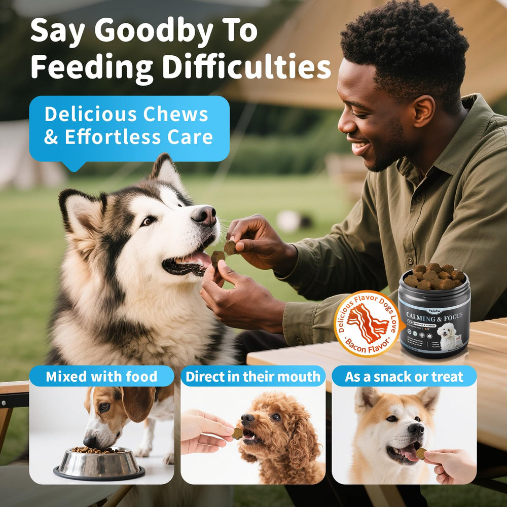 Poppaw Calming Chews sized for all dogs, daily wellness support