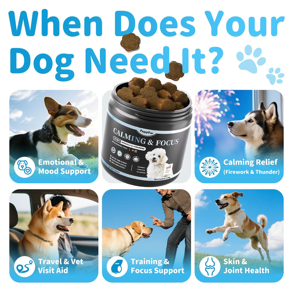 Poppaw Calming Chews natural blend of chamomile and ashwagandha for balance