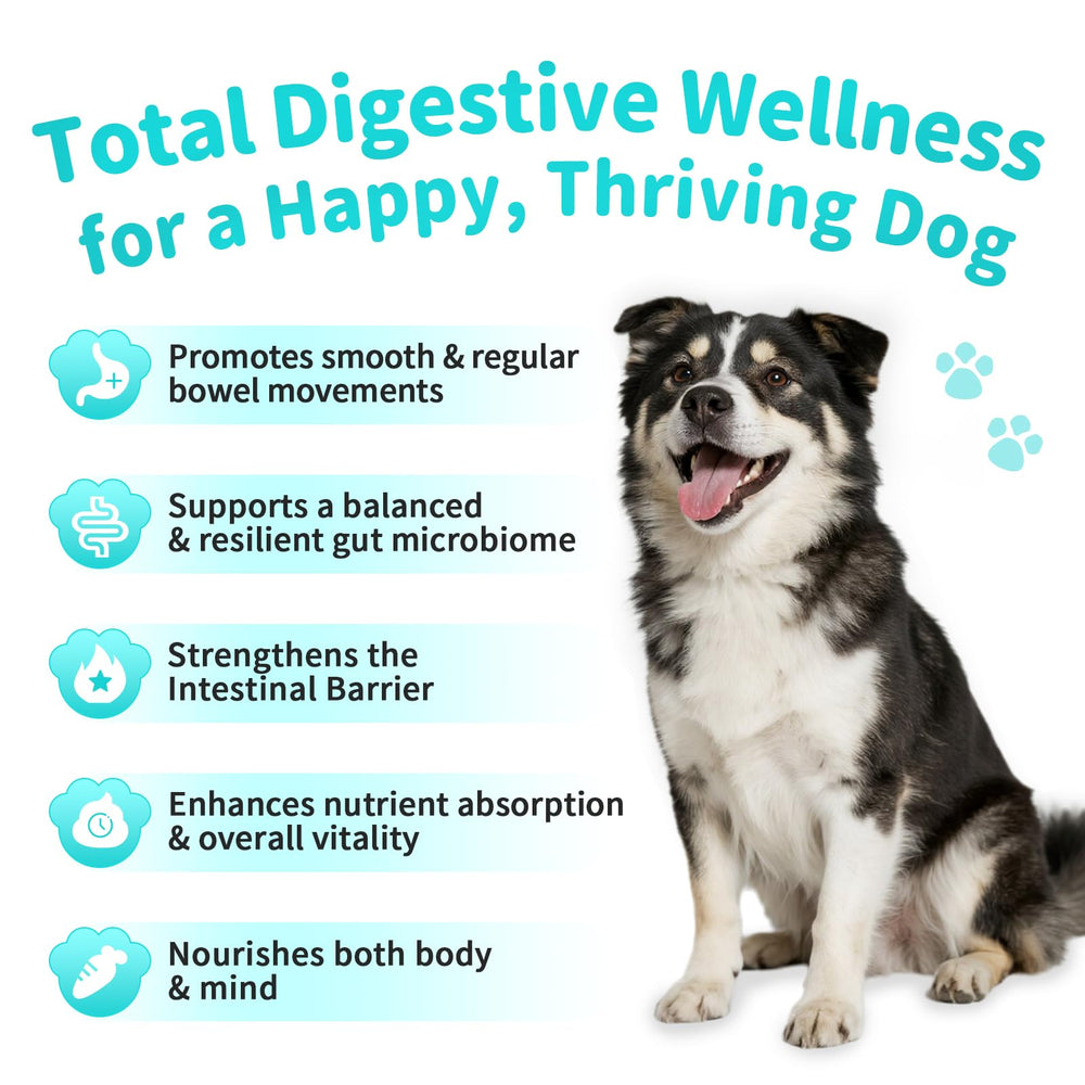 POPPAW chicken-flavor dog chews appealing and easy daily dosing.