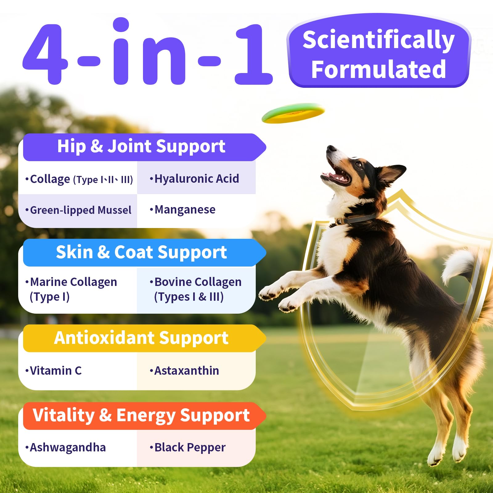 Poppaw Collagen for Dogs chicken-flavor drops ideal for picky eaters and routine use.