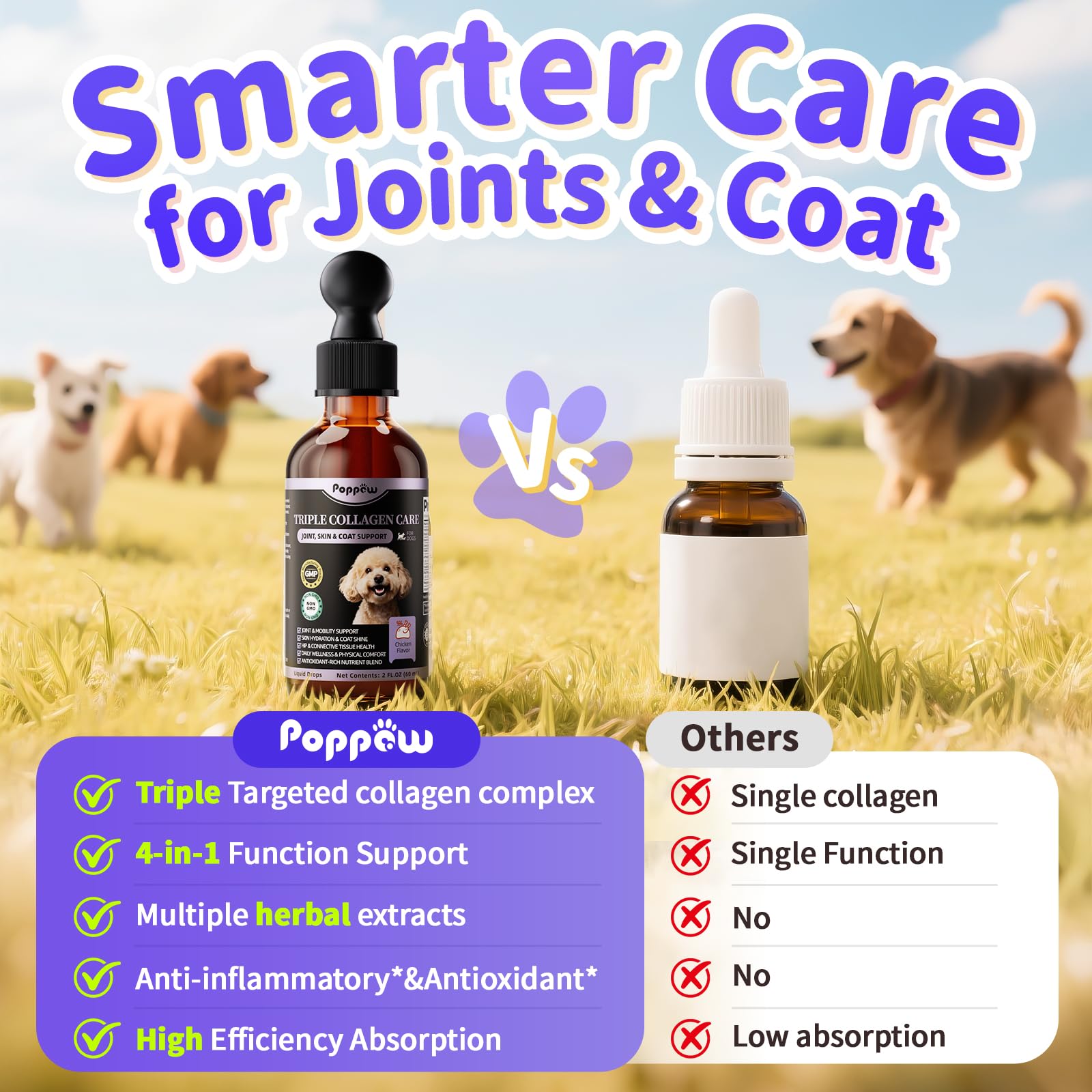 Poppaw Collagen for Dogs coat glow image highlighting shinier fur and healthy skin.