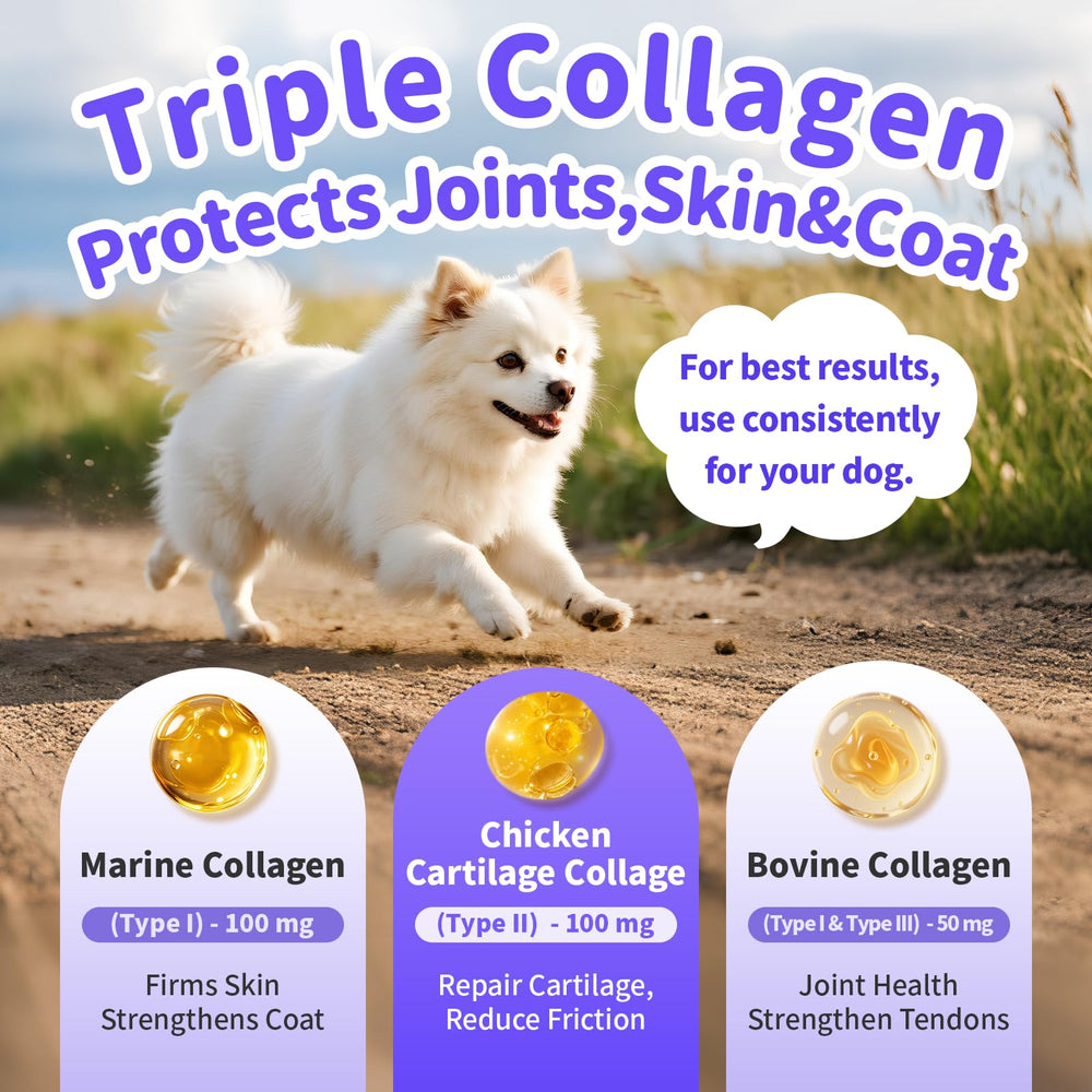 Poppaw Collagen for Dogs drops for easy administration and palatable chicken flavor.
