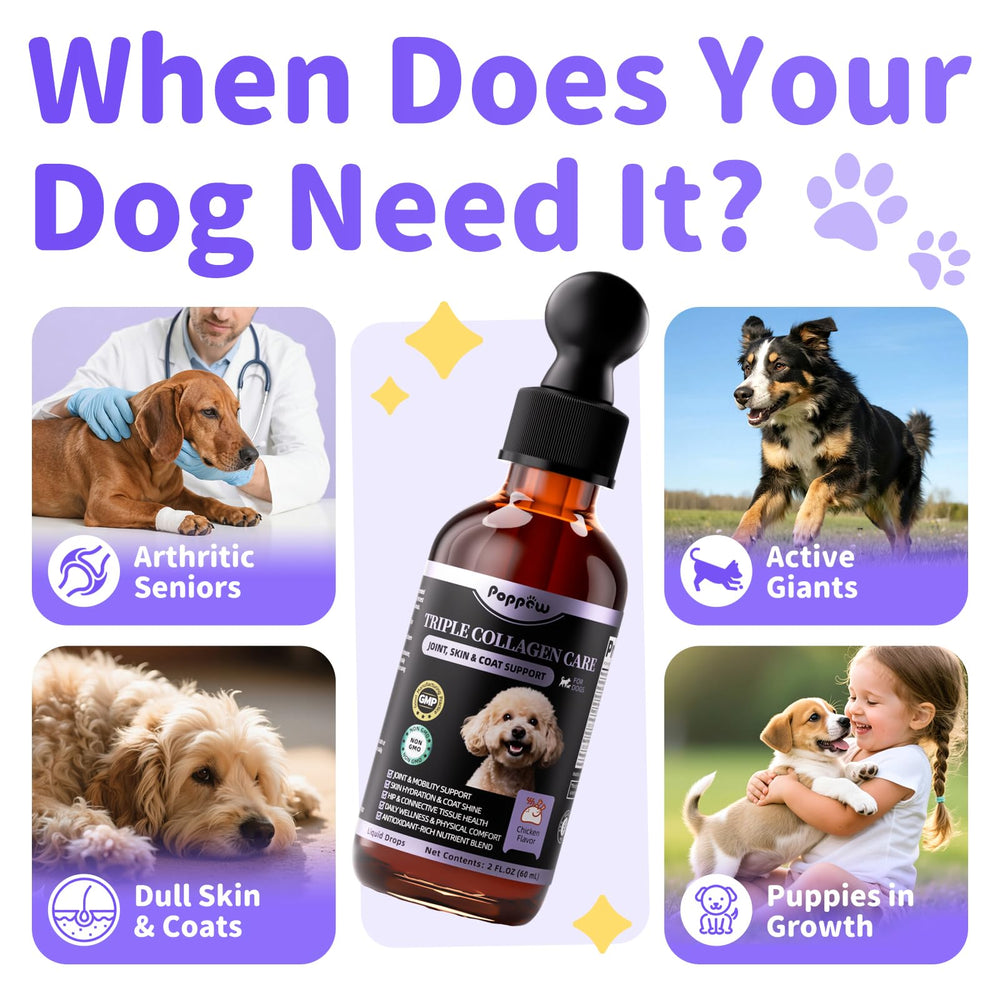 Poppaw Collagen for Dogs hip joint support visuals suggesting improved mobility.