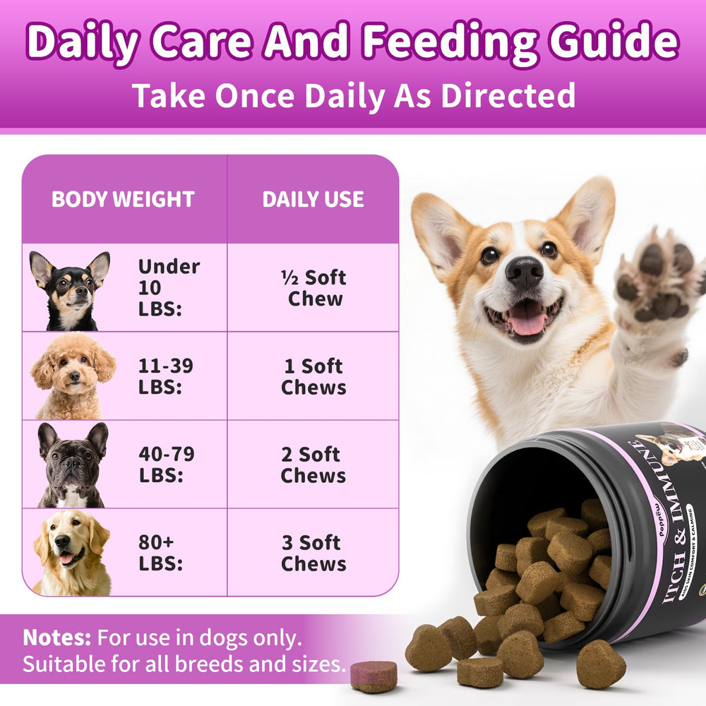 Poppaw daily skin comfort chews served for dogs on tables