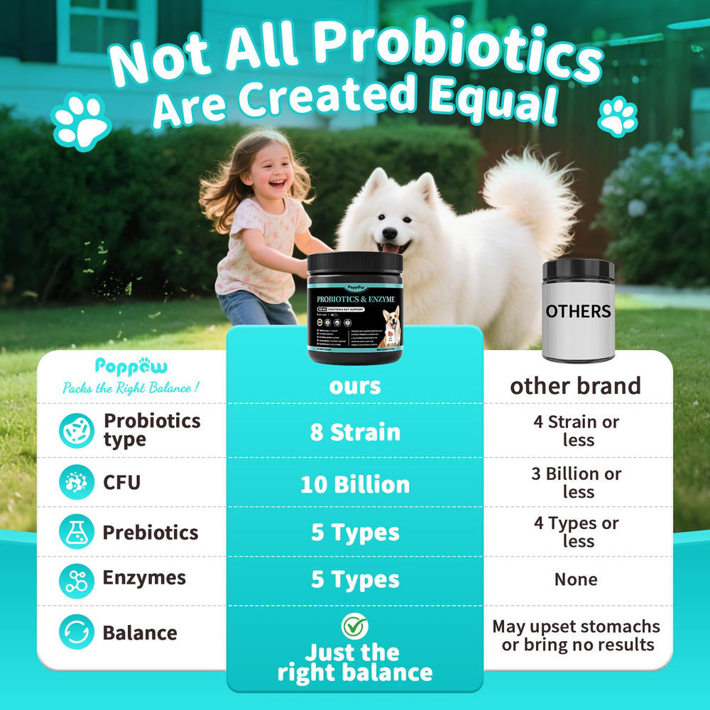 POPPAW digestive enzymes and pumpkin fiber chews shown for digestion support.