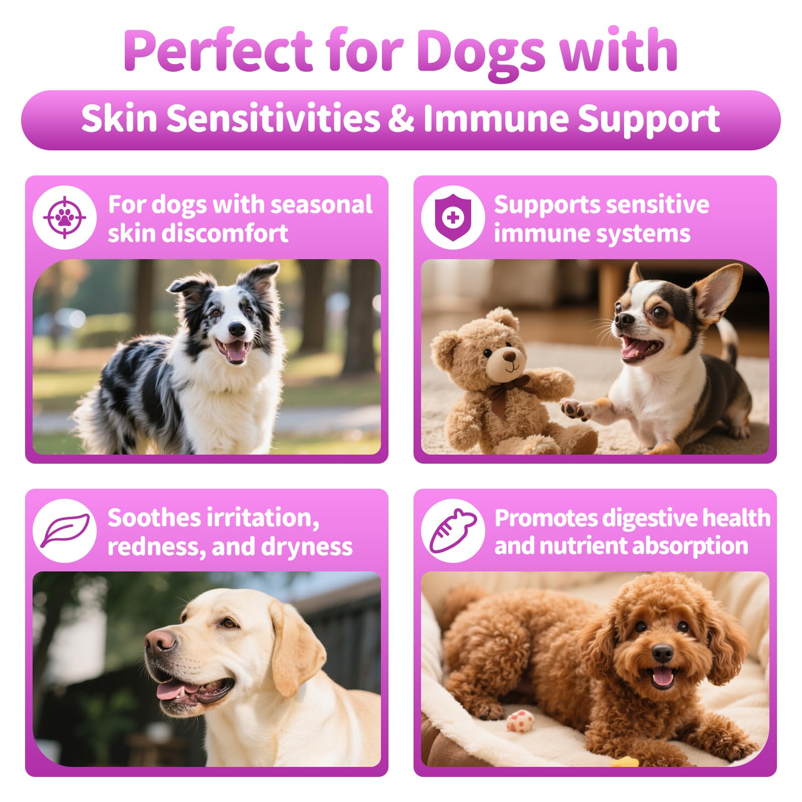 Poppaw dog allergy chews chicken flavor serving demonstrates tasty daily dose