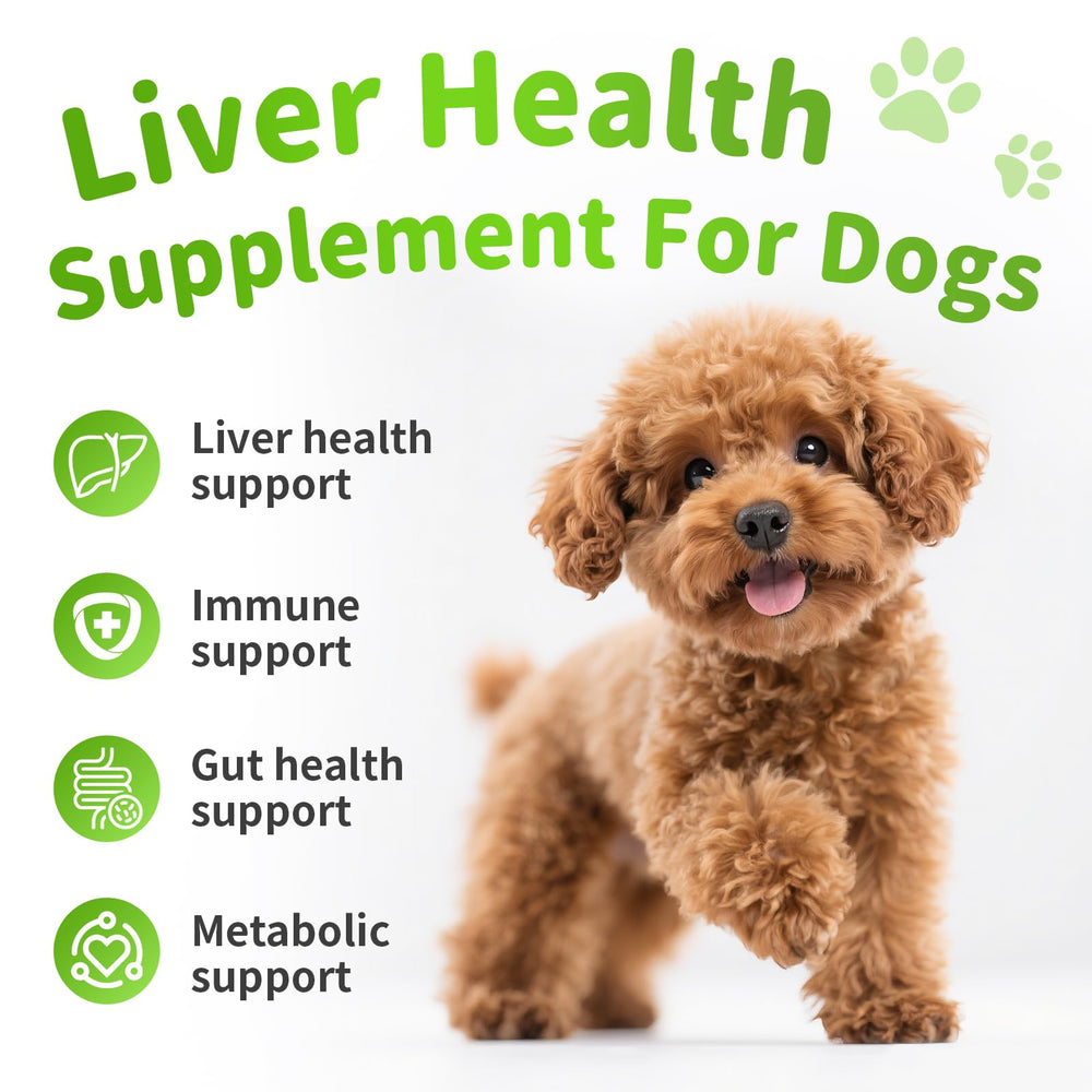 POPPAW dog liver support chews chicken-flavor pack for easy daily use.