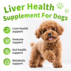 POPPAW dog liver support chews chicken-flavor pack for easy daily use.