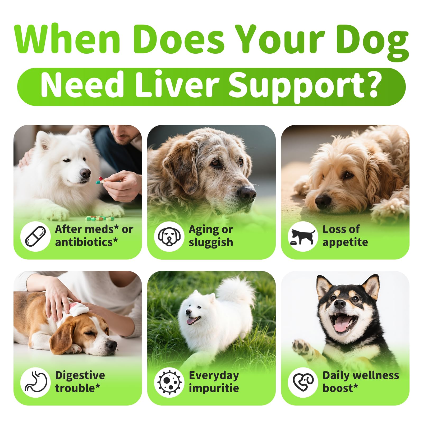 POPPAW dog liver support chews turmeric for antioxidant support.